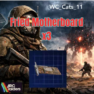 Fried Motherboard x3