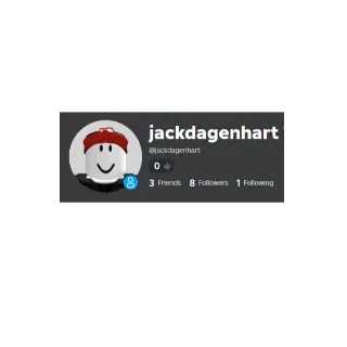 3 2009 accounts