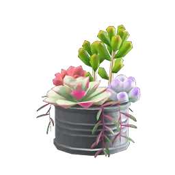 Succulent plant: Animal Crossing