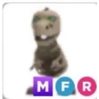 MFR SKELE REX