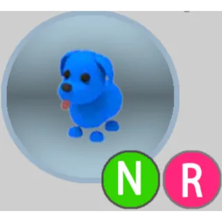 NR BLUE DOG