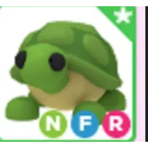 NFR TURTLE