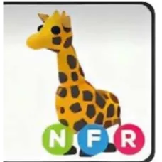 NFR GIRAFFE