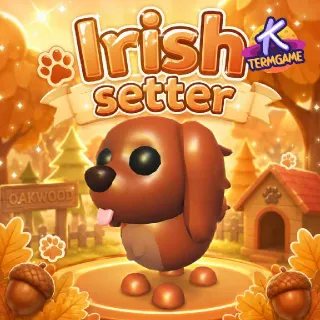 2x Irish Setter - Adopt Me
