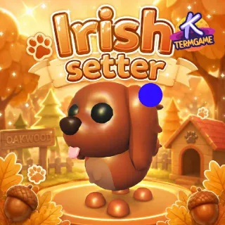 Irish Setter Mega - Adopt Me