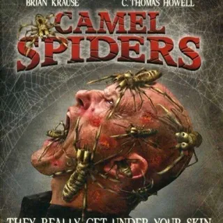 CAMEL SPIDERS DIGITAL HD UV CODE