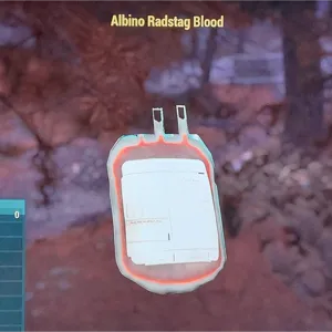Albino Radstag Blood