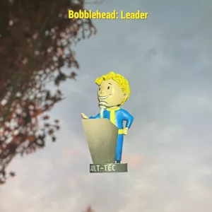 500 Leader Bobbles