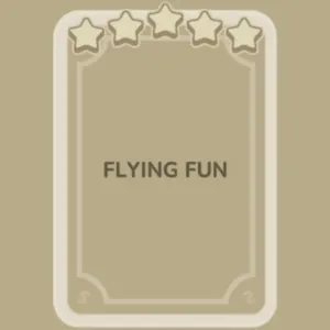 Flying Fun