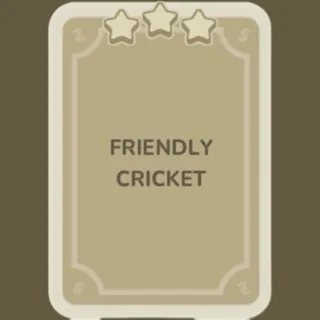 Friendly Cricket 