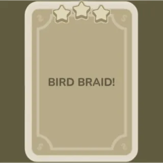 Bird Braid!