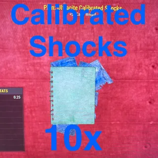 Plan | 10 sets Calibrated Shocks