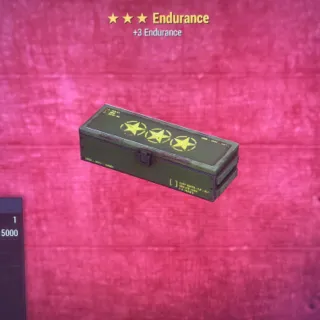 Mod | 5x Endurance 