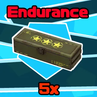 Mod | 5x Endurance 