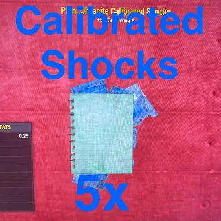 Plan | 5 sets Calibrated Shocks