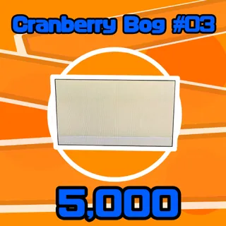 Map | 5k Cranberry Bog #03