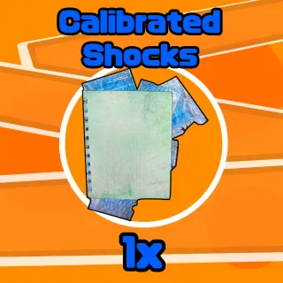 Plan | 1x Calibrated Shocks 