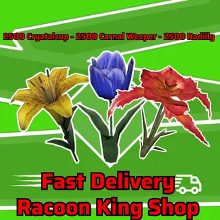 Xbox | 3k Big Bloom Flowers 