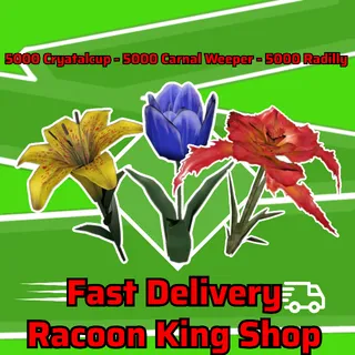 Xbox | 5k Each Big Bloom Flowers 