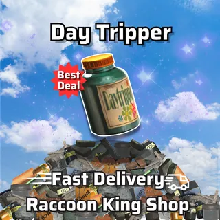 Aid | 250 Daytripper 