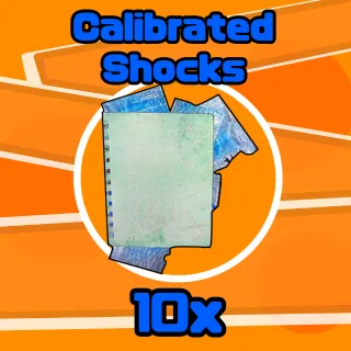 Plan | 10 sets Calibrated Shocks