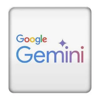 Google Gemini 1 Year 2T