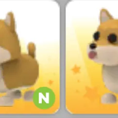 รายการภาพถ่าย