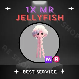 MR JELLYFISH