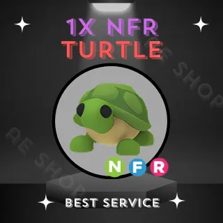 NFR TURTLE