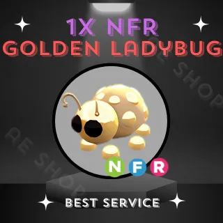 NFR GOLDEN LADYBUG