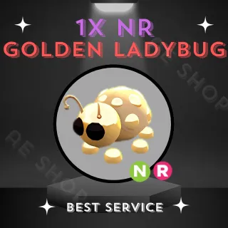 NR GOLDEN LADYBUG