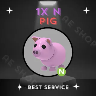 N PIG