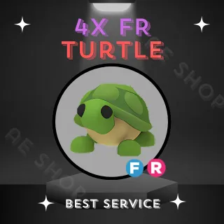 4X FR TURTLE