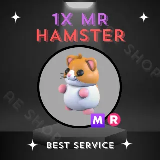 1X MR HAMSTER