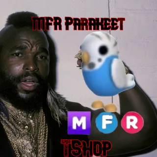 1x MFR Parakeet
