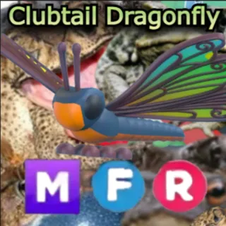 1x MFR Clubtail Dragonfly ~ Adopt Me