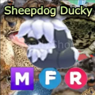 1x MFR Sheepdog Ducky ~ Adopt Me
