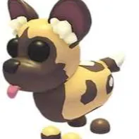 African Wild Dog