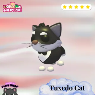 4x TUXEDO CAT