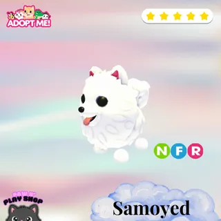 NFR SAMOYED