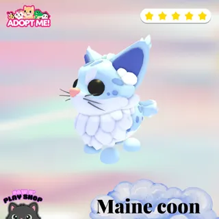 MAINE COON