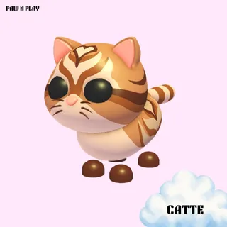 CATTE