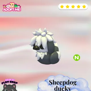 NEON SHEEPDOG DUCKY