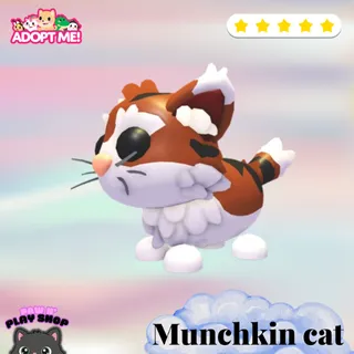 MUNCHKIN CAT 