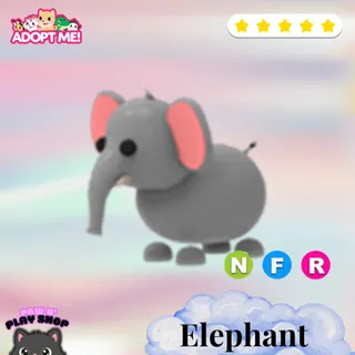 nfr Elephant