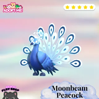 moonbeam peacock
