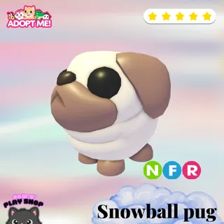 NFR SNOWBALL PUG 