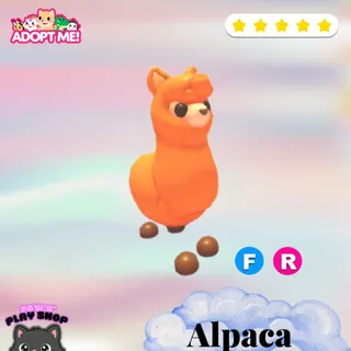 FR ALPACA