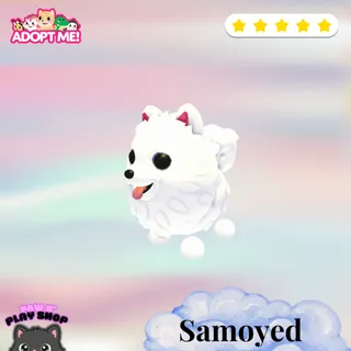 SAMOYED