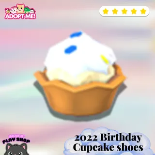2022 birthday cupcake shoes